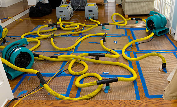 Professional Emergency Water Removal technician working in Millfield, OH