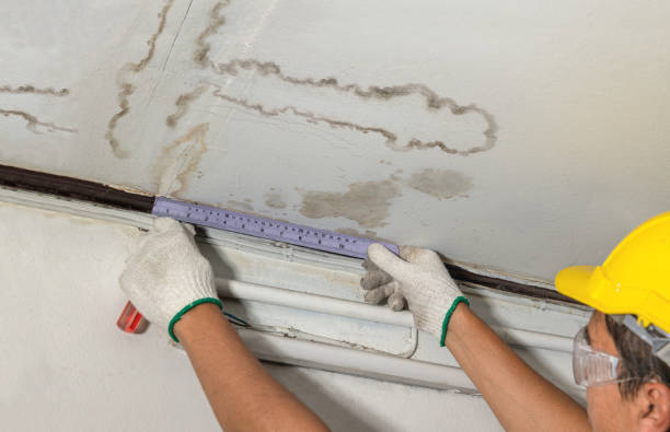 Affordable Water Damage Repair solutions in Millfield, OH